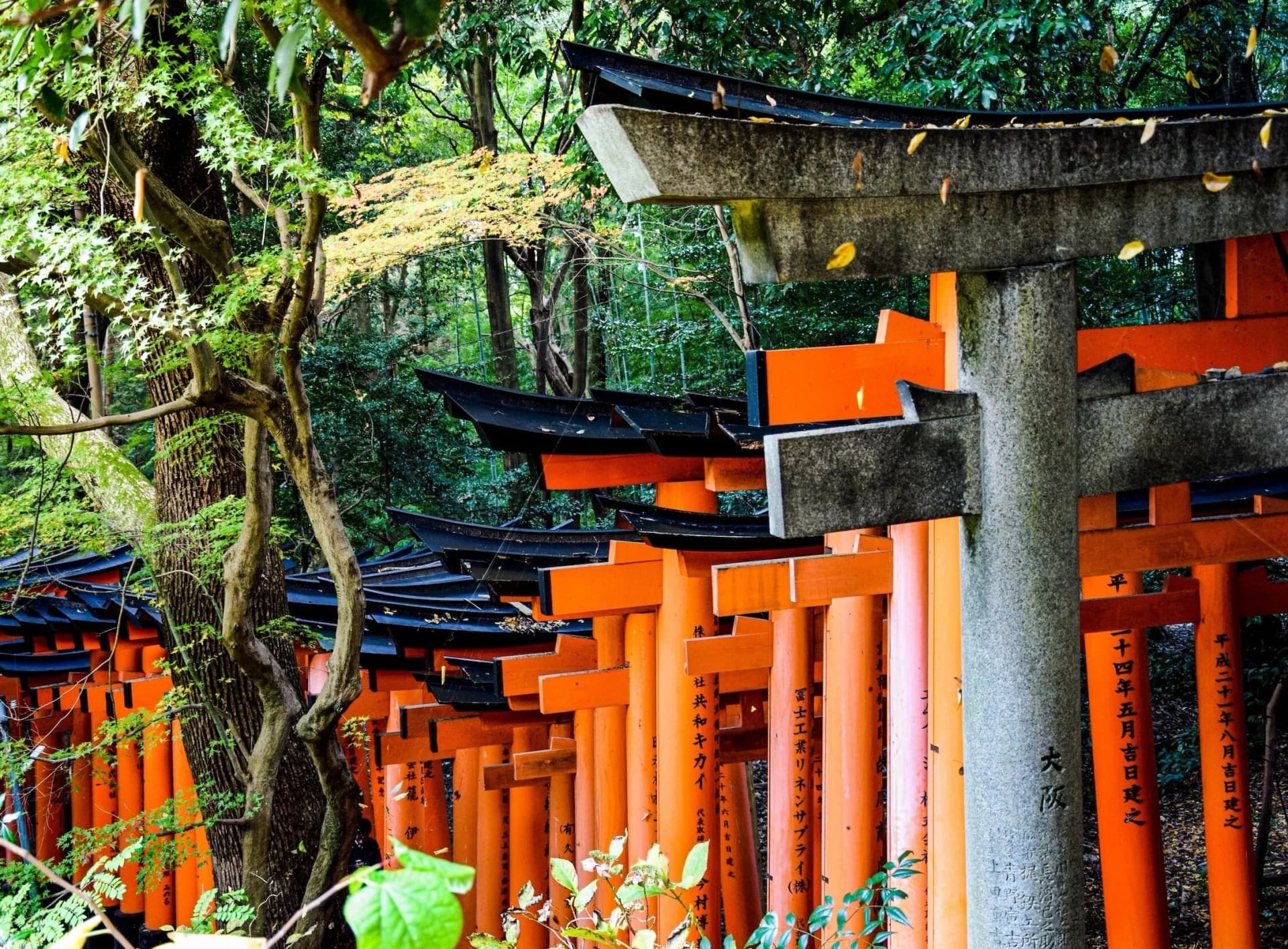 What Is Shinto? Japan's Native Religion Explained
